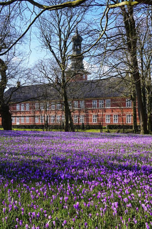 Apartament Ferienhus #1 Nordfriesland Mildstedt Zewnętrze zdjęcie